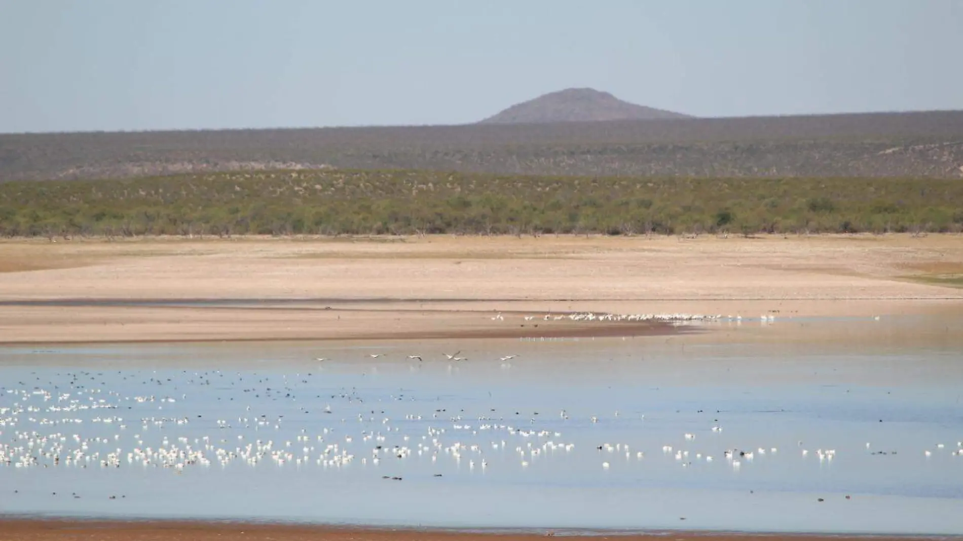 Presa las vírgenes